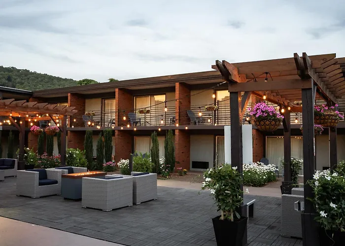 Motel: The Beaucatcher, A Boutique Motel